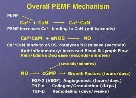 A chart showing the overall mechanism of pemf.